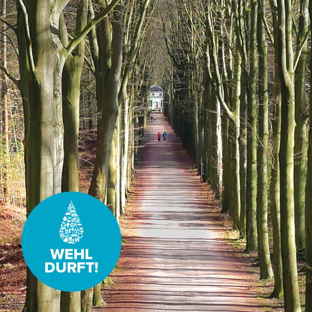 De nieuwe Wehl Durft Wijkflyer December 2021/Januari 2022 is live.